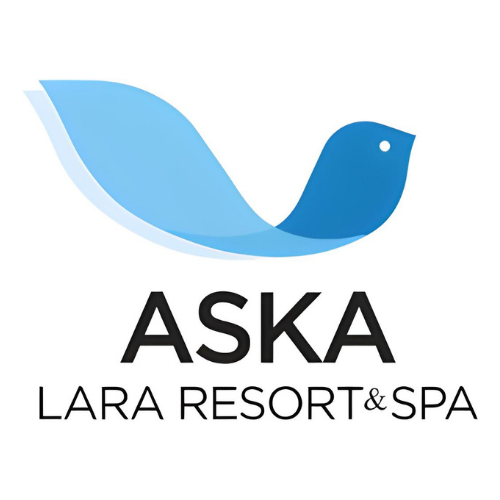 My Website